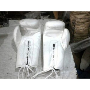 ESW-SWBG7