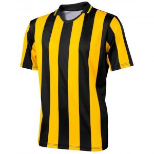 ESW-SWSU1